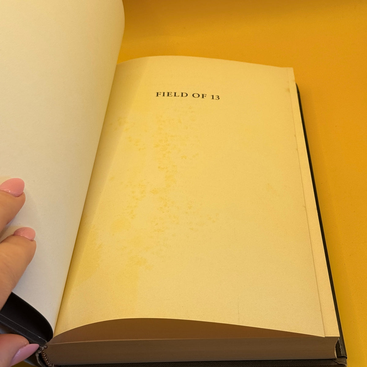 Field of 13 by Dick Francis