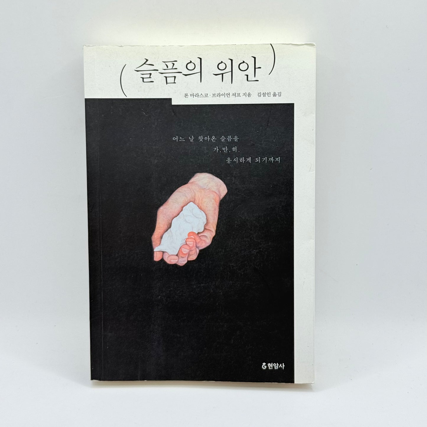 The Consolation of Grief by Ron Marasco & Brian Shuff (Korean)