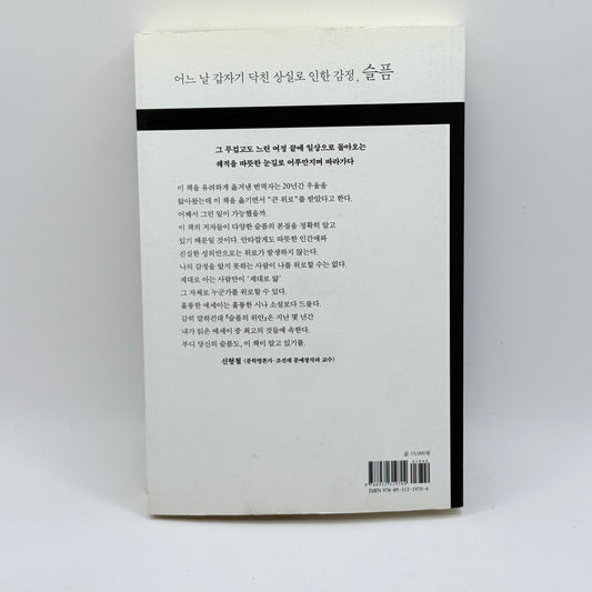 The Consolation of Grief by Ron Marasco & Brian Shuff (Korean)