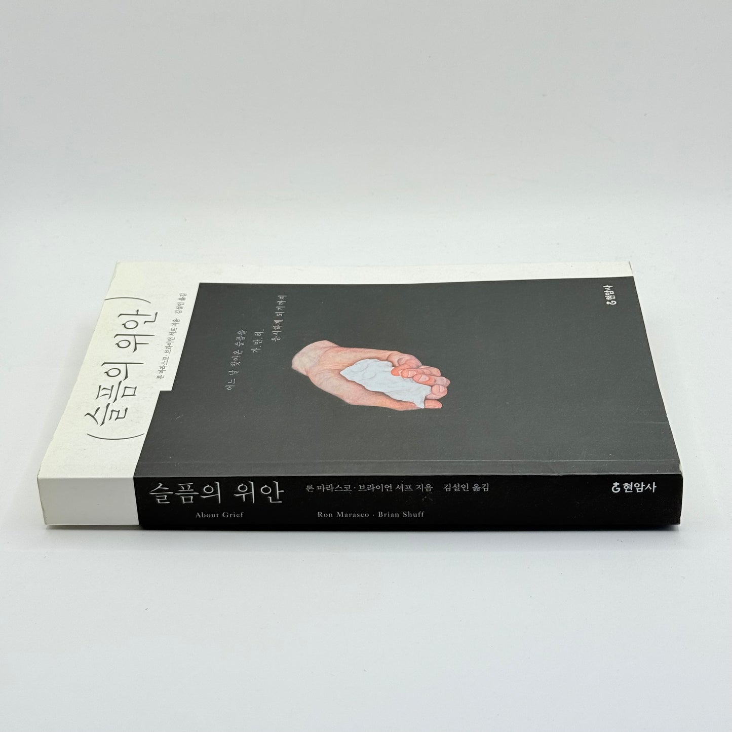The Consolation of Grief by Ron Marasco & Brian Shuff (Korean)