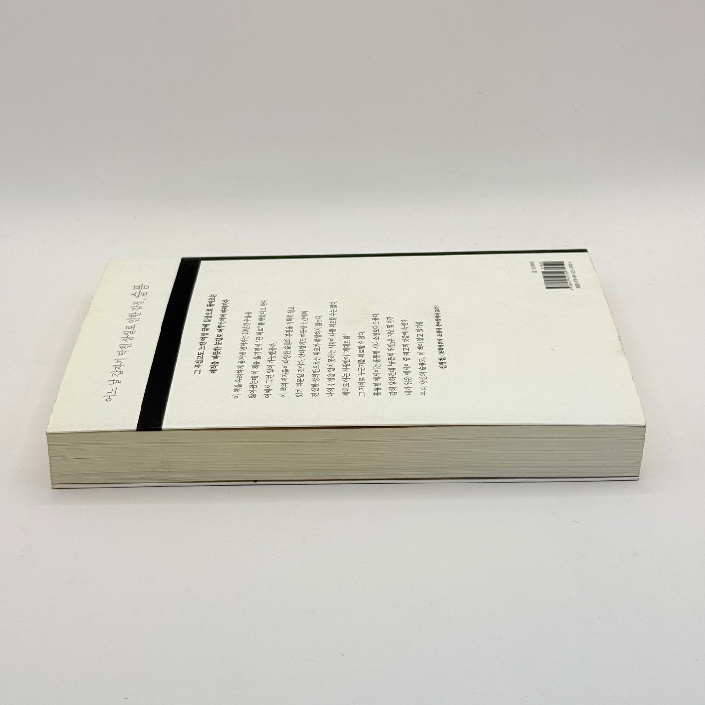 The Consolation of Grief by Ron Marasco & Brian Shuff (Korean)