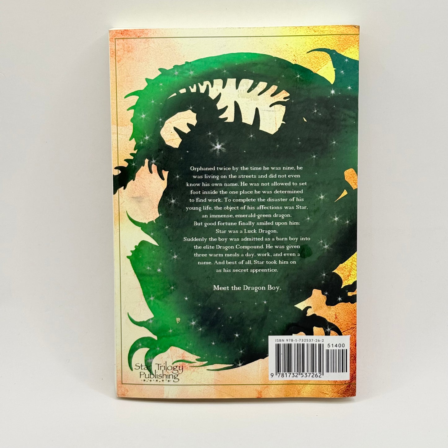 The Dragon Boy: Book One of the Star Trilogy
