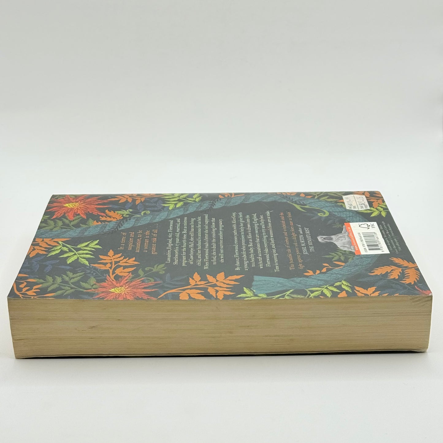 The Familiars by Stacey Halls