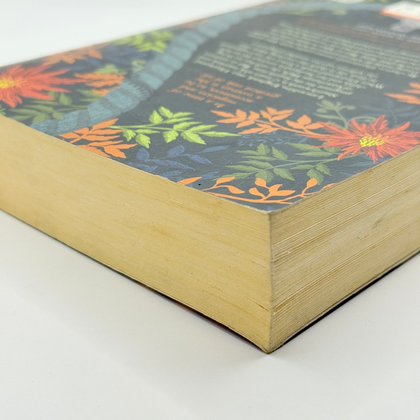 The Familiars by Stacey Halls