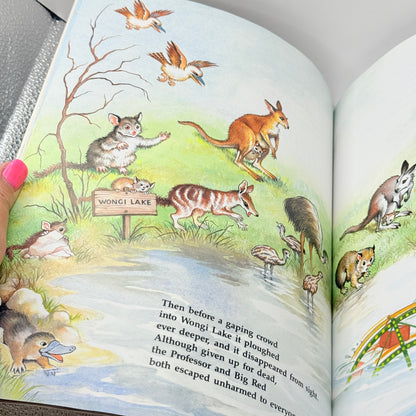 The Great Possum Creek Earthquake by Yvonne Perrin