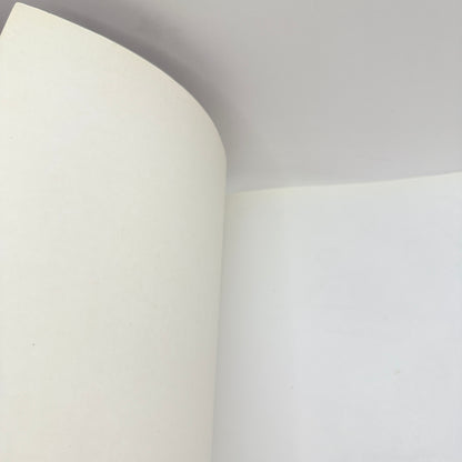 The Great Possum Creek Earthquake by Yvonne Perrin