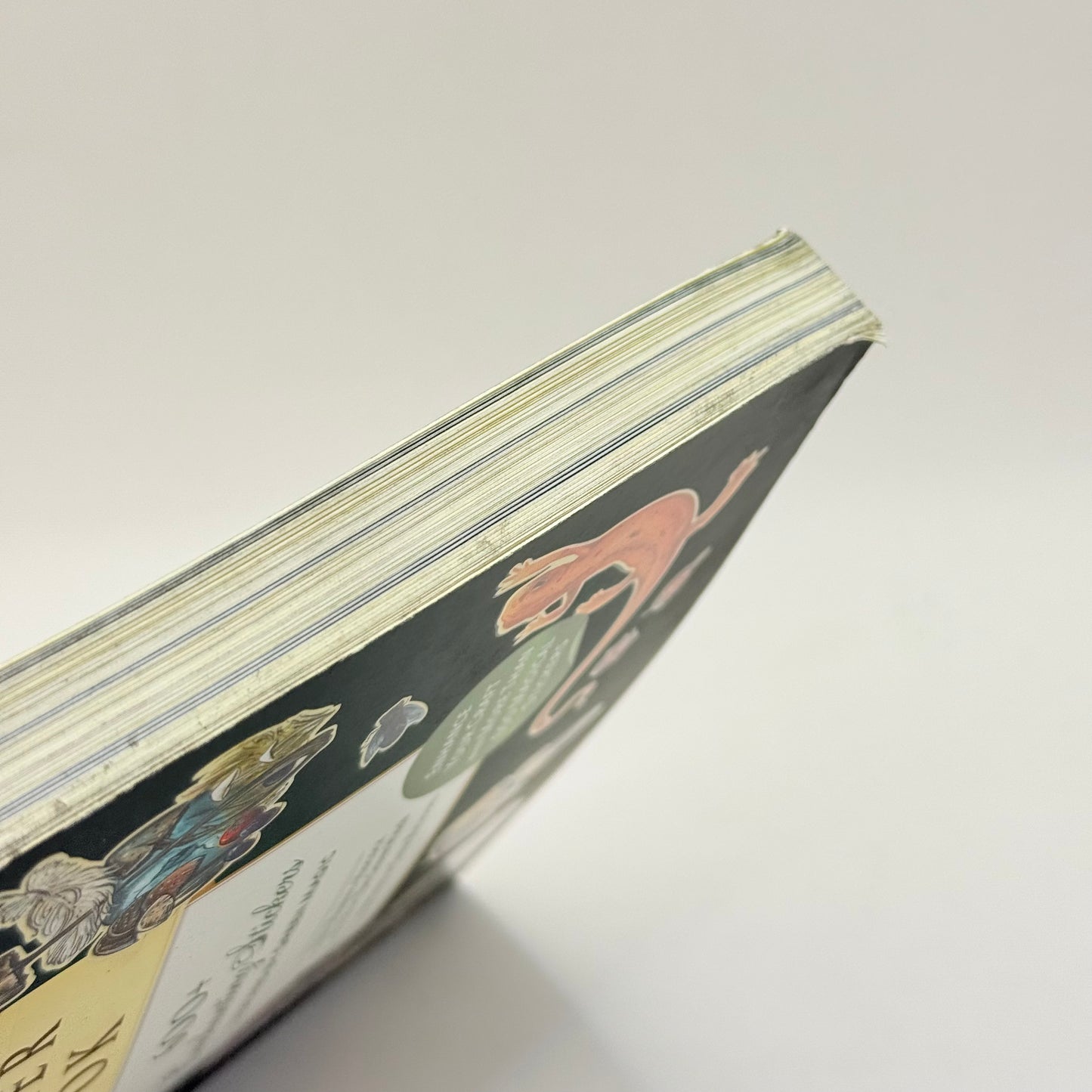 The Green Witch's Sticker Book by Arin Murphy-Hiscock