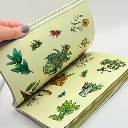 The Green Witch's Sticker Book by Arin Murphy-Hiscock