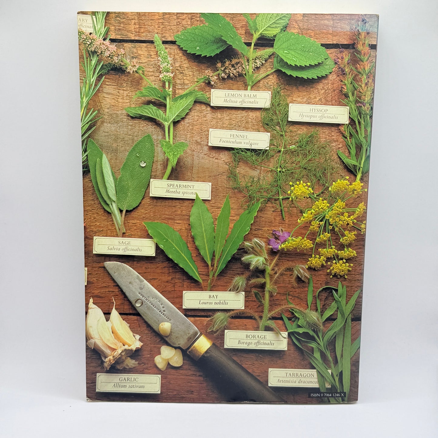 The Herb Book by Arabella Boxer & Philippa Back
