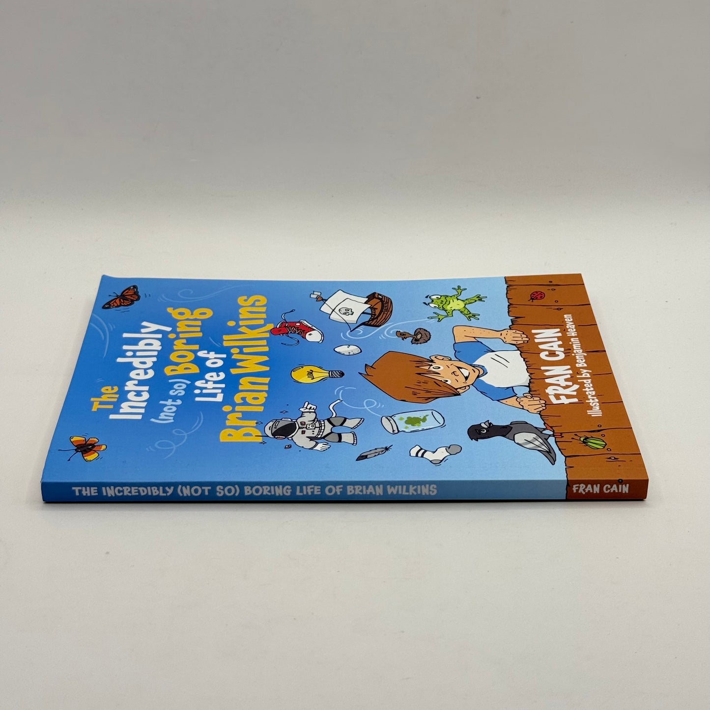 The Incredibly (Not So) Boring Life of Brian Wilkins by Fran Cain