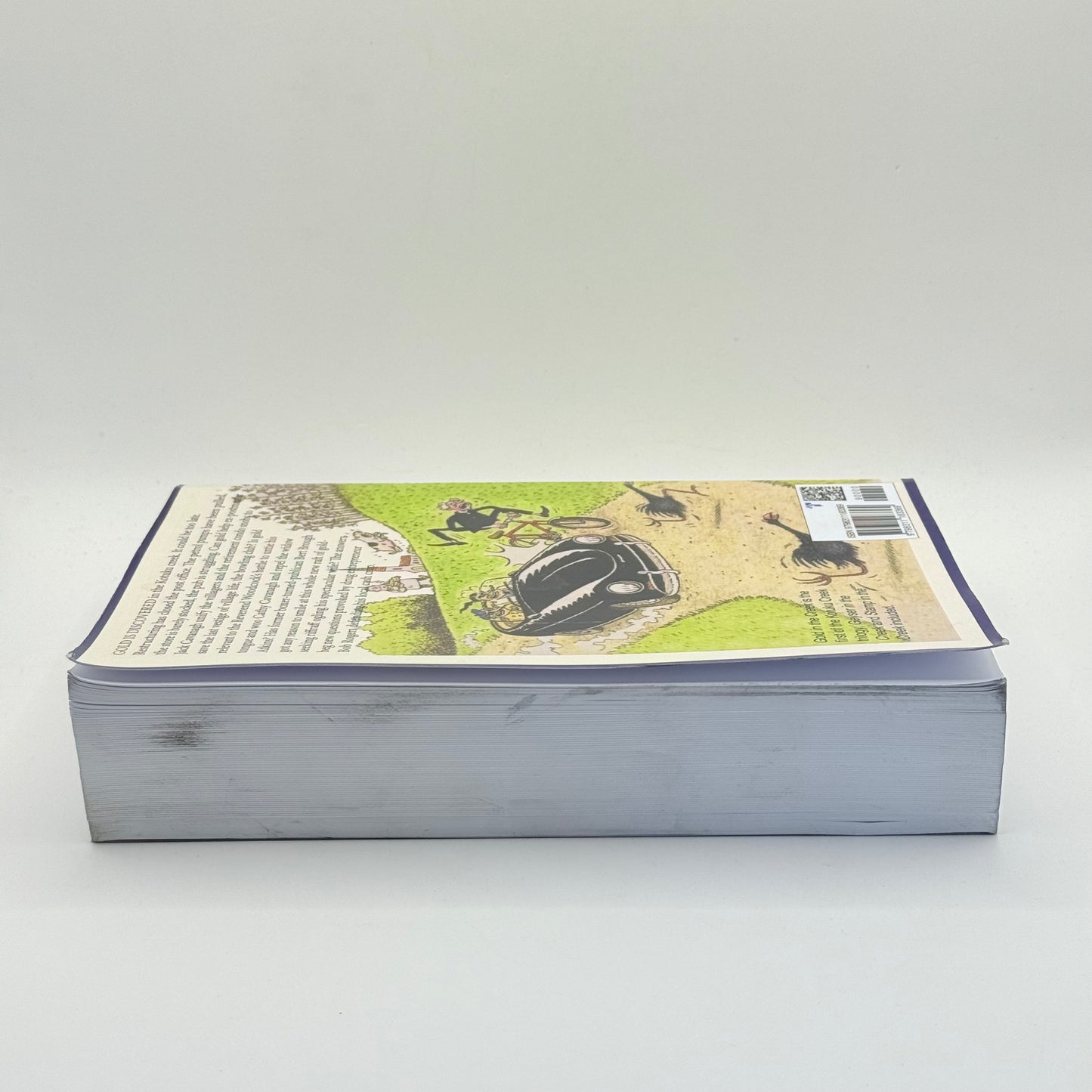 The Kotuku Creek Chronicles by David McGill