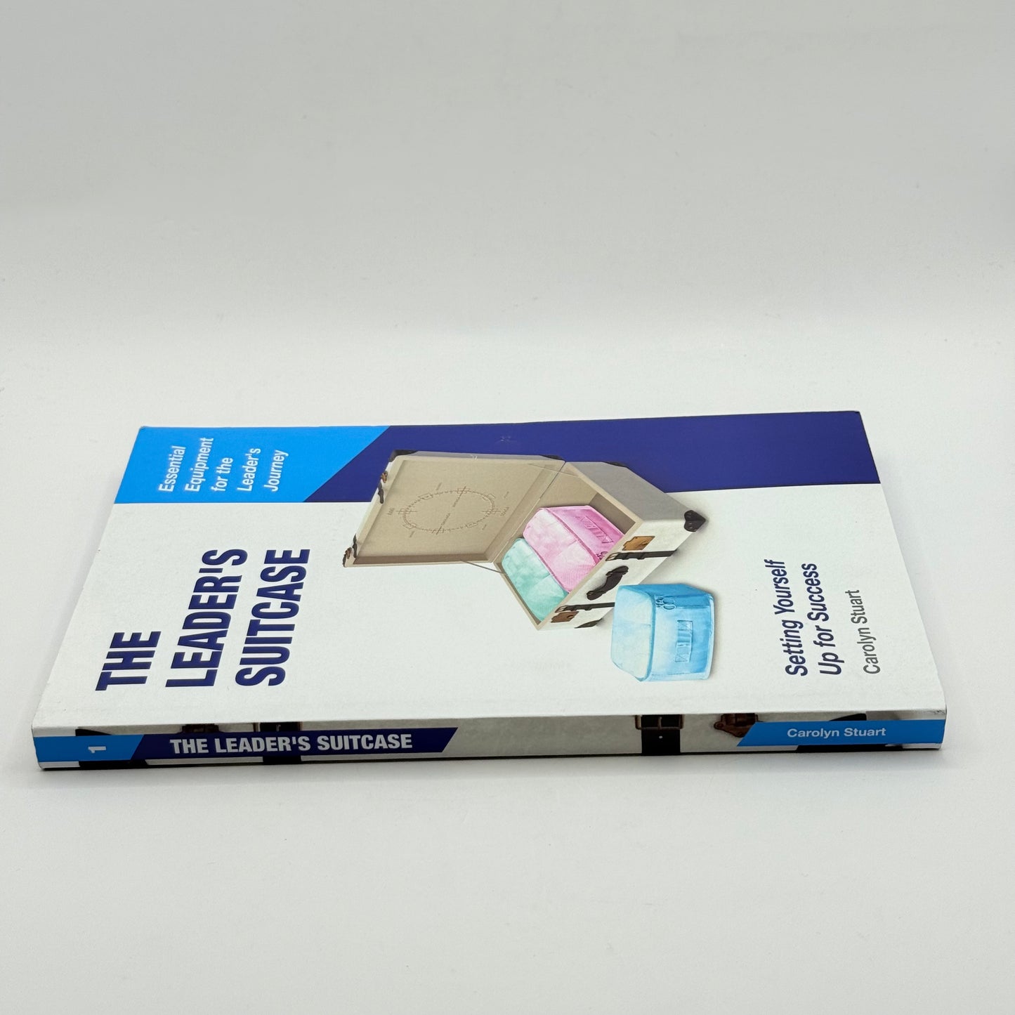 The Leader's Suitcase by Carolyn Stuart