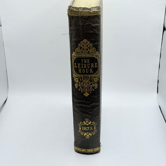 The Leisure Hour A Family Journal of Instruction and Recreation (1875)