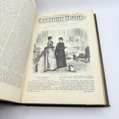 The Leisure Hour A Family Journal of Instruction and Recreation (1875)