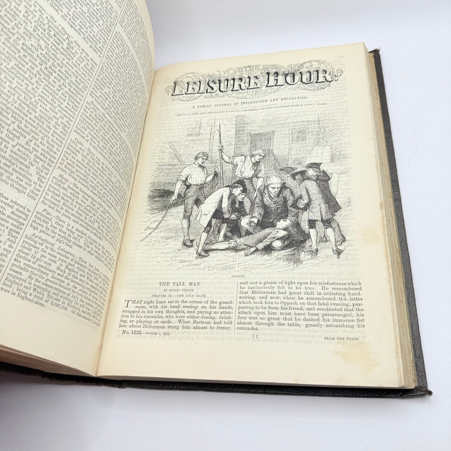 The Leisure Hour A Family Journal of Instruction and Recreation (1875)