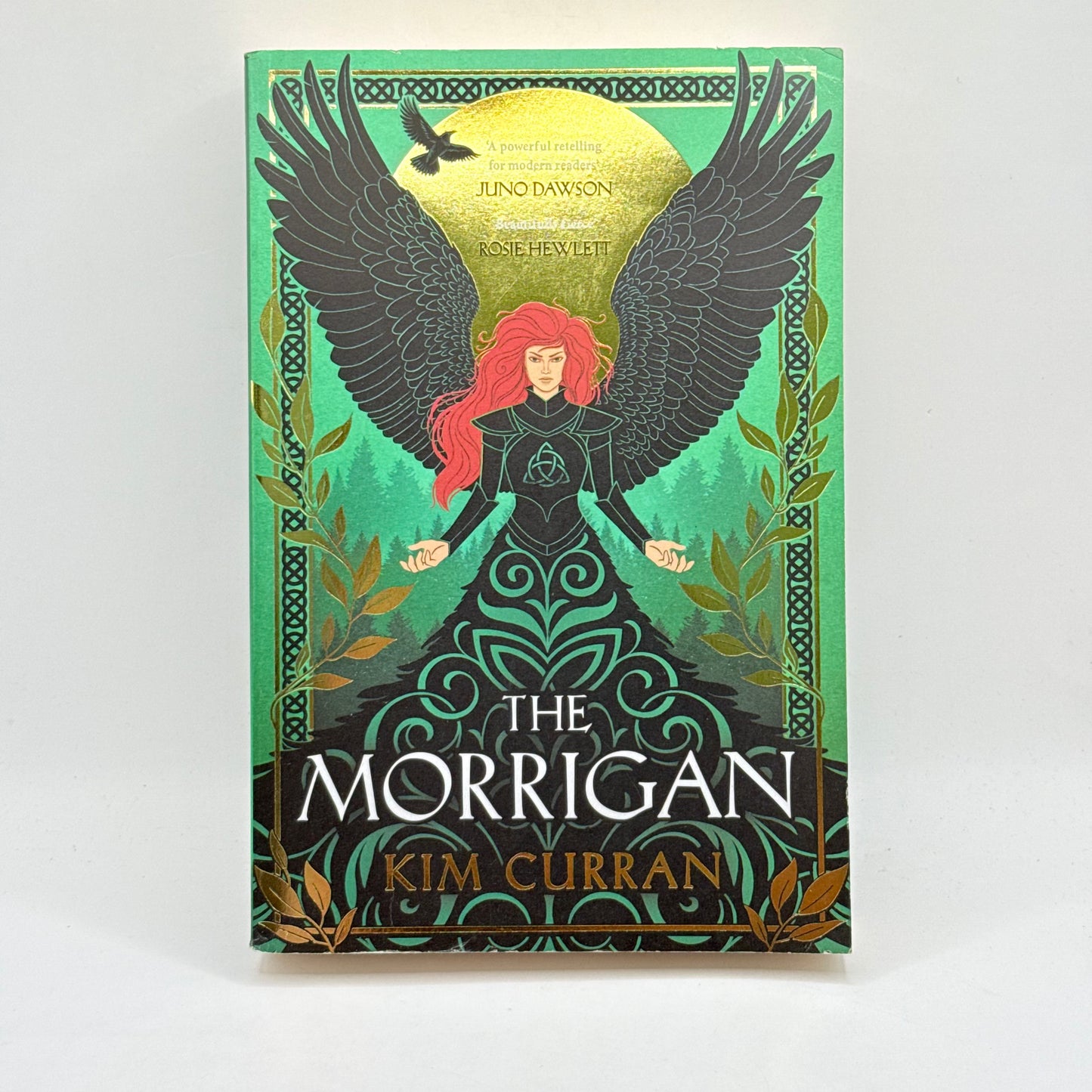 The Morrigan by Kim Curran