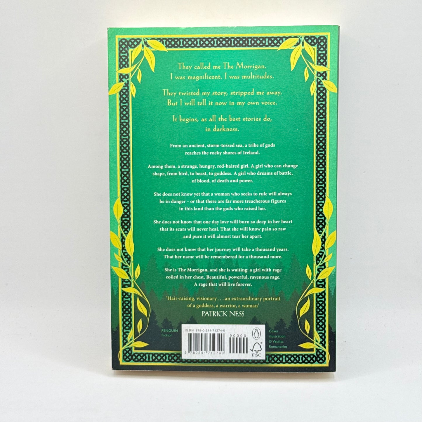 The Morrigan by Kim Curran