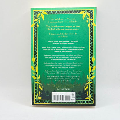 The Morrigan by Kim Curran