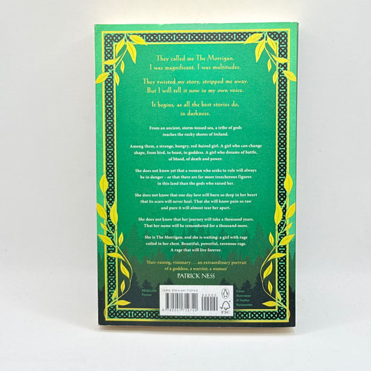 The Morrigan by Kim Curran