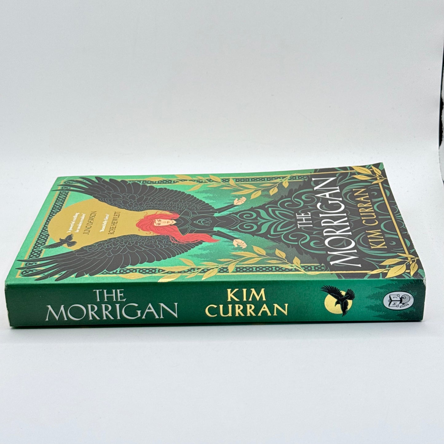 The Morrigan by Kim Curran