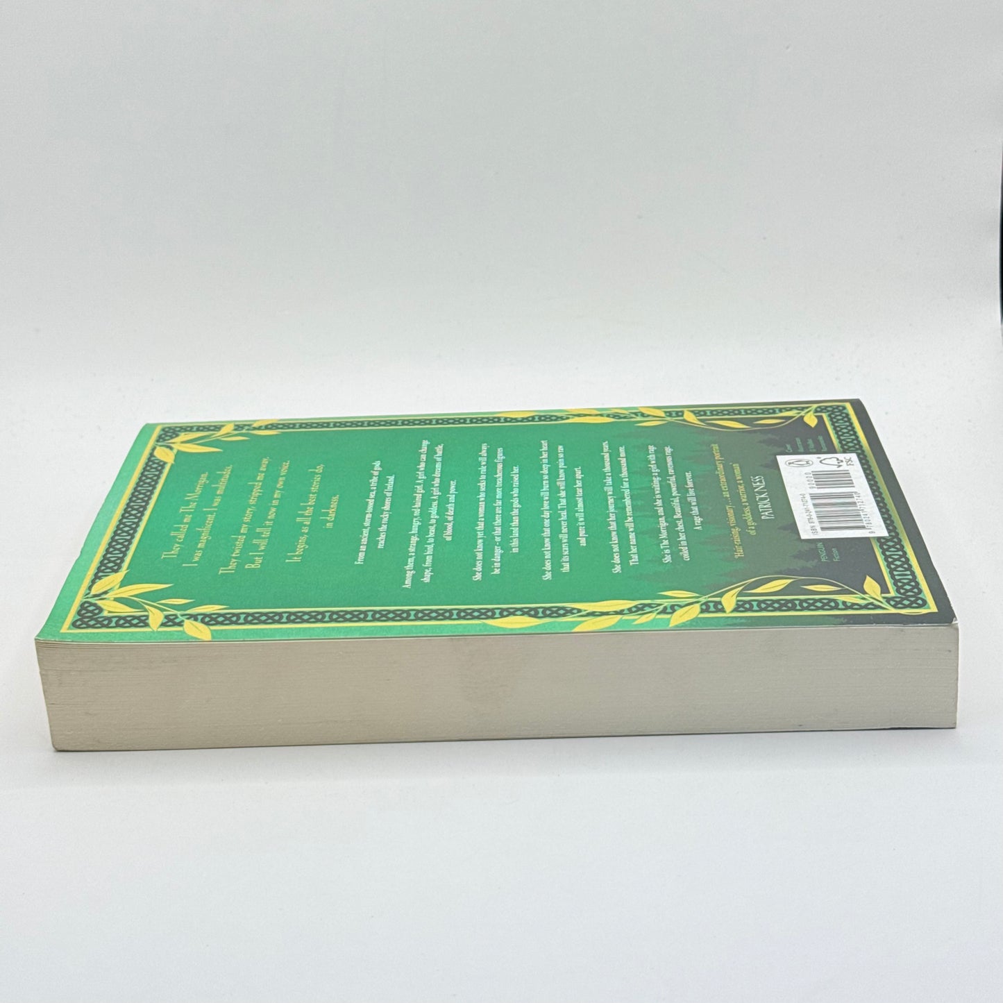 The Morrigan by Kim Curran