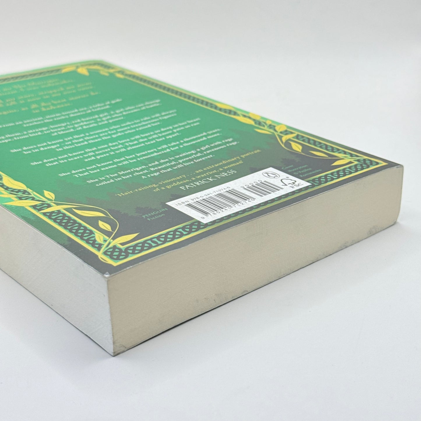 The Morrigan by Kim Curran