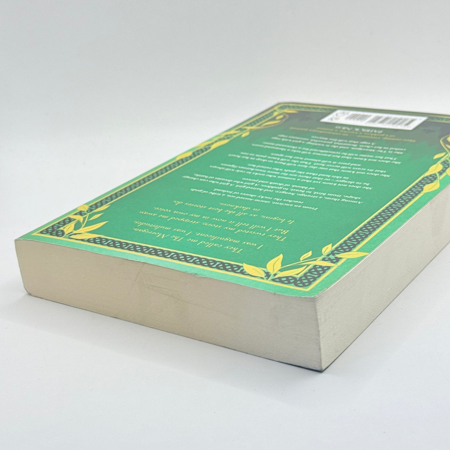 The Morrigan by Kim Curran