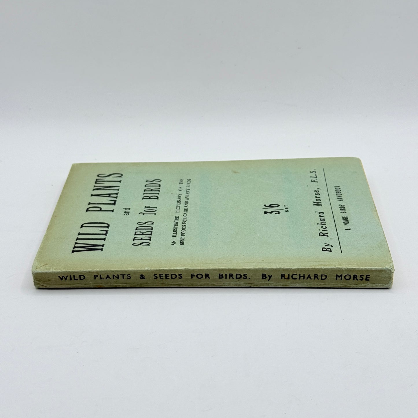 Wild Plants and Seeds for Birds by Richard Morse