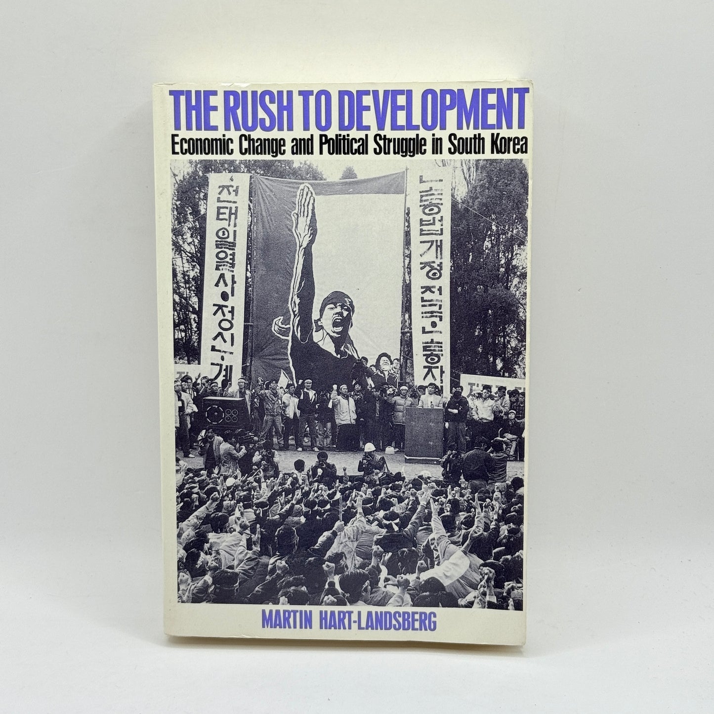 The Rush to Development by Martin Hart-Landsberg