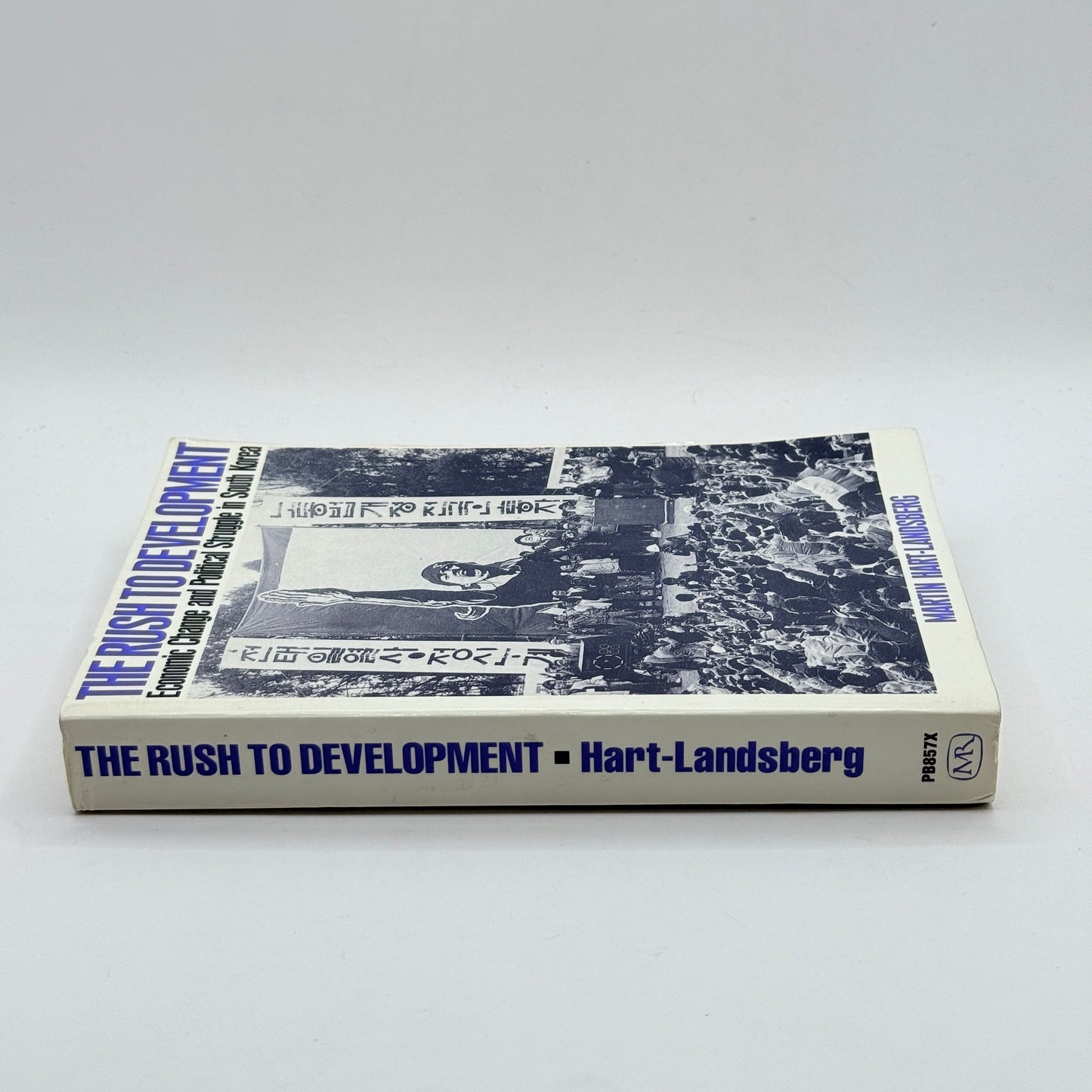 The Rush to Development by Martin Hart-Landsberg