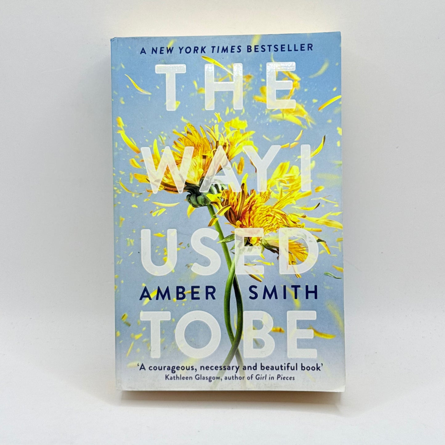 The Way I Used to Be by Amber Smith