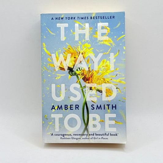 The Way I Used to Be by Amber Smith