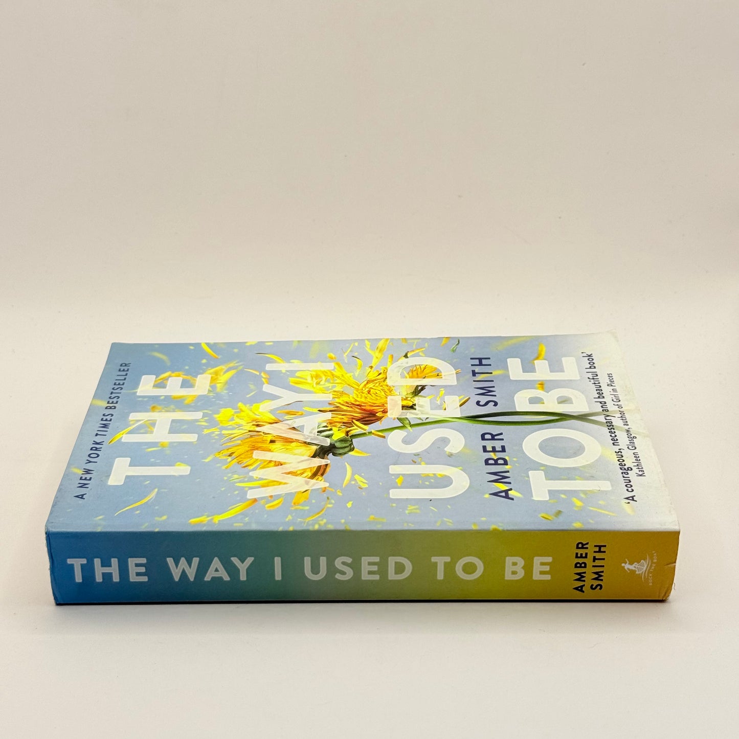 The Way I Used to Be by Amber Smith