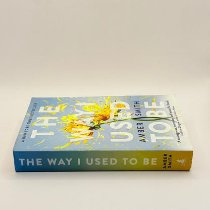 The Way I Used to Be by Amber Smith