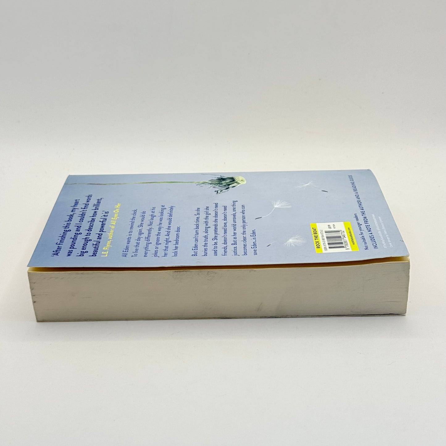 The Way I Used to Be by Amber Smith