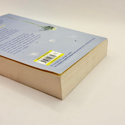 The Way I Used to Be by Amber Smith