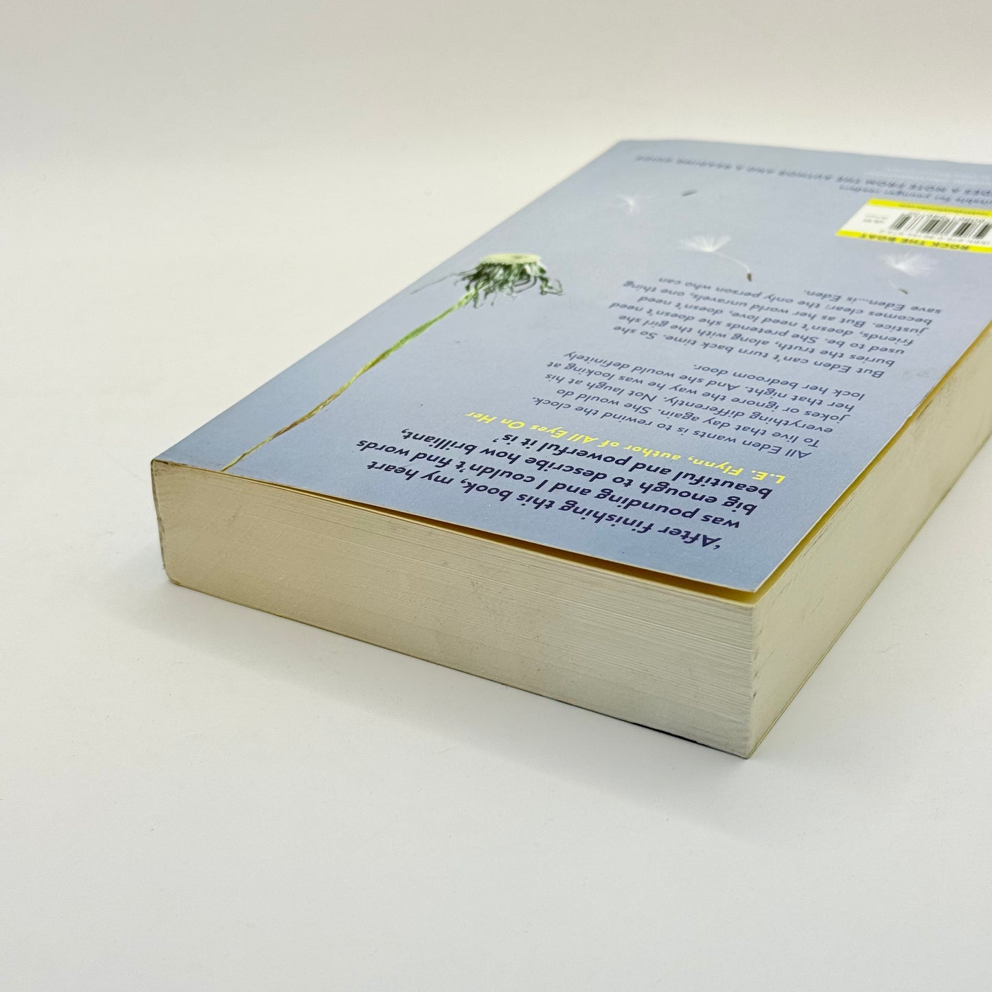 The Way I Used to Be by Amber Smith