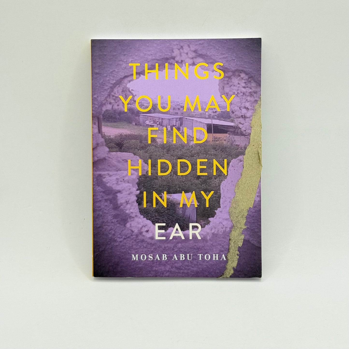 Things You May Find Hidden in My Ear by Mosab Abu Toha