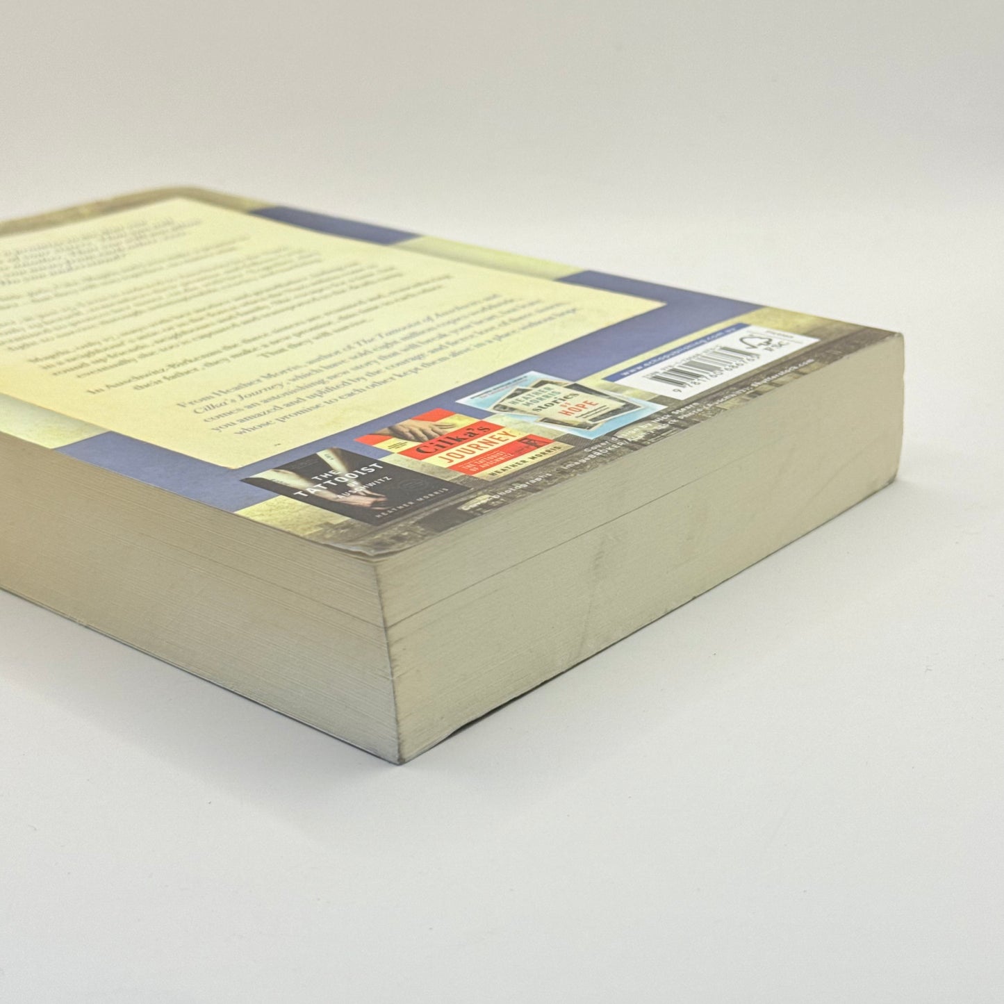 Three Sisters by Heather Morris