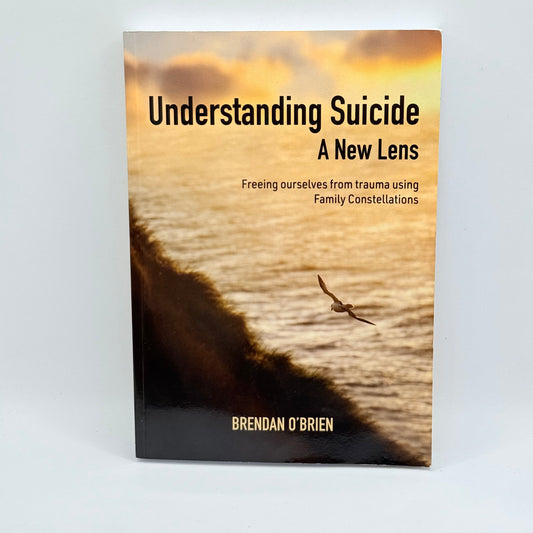 Understanding Suicide A New Lens by Brendan O’Brien