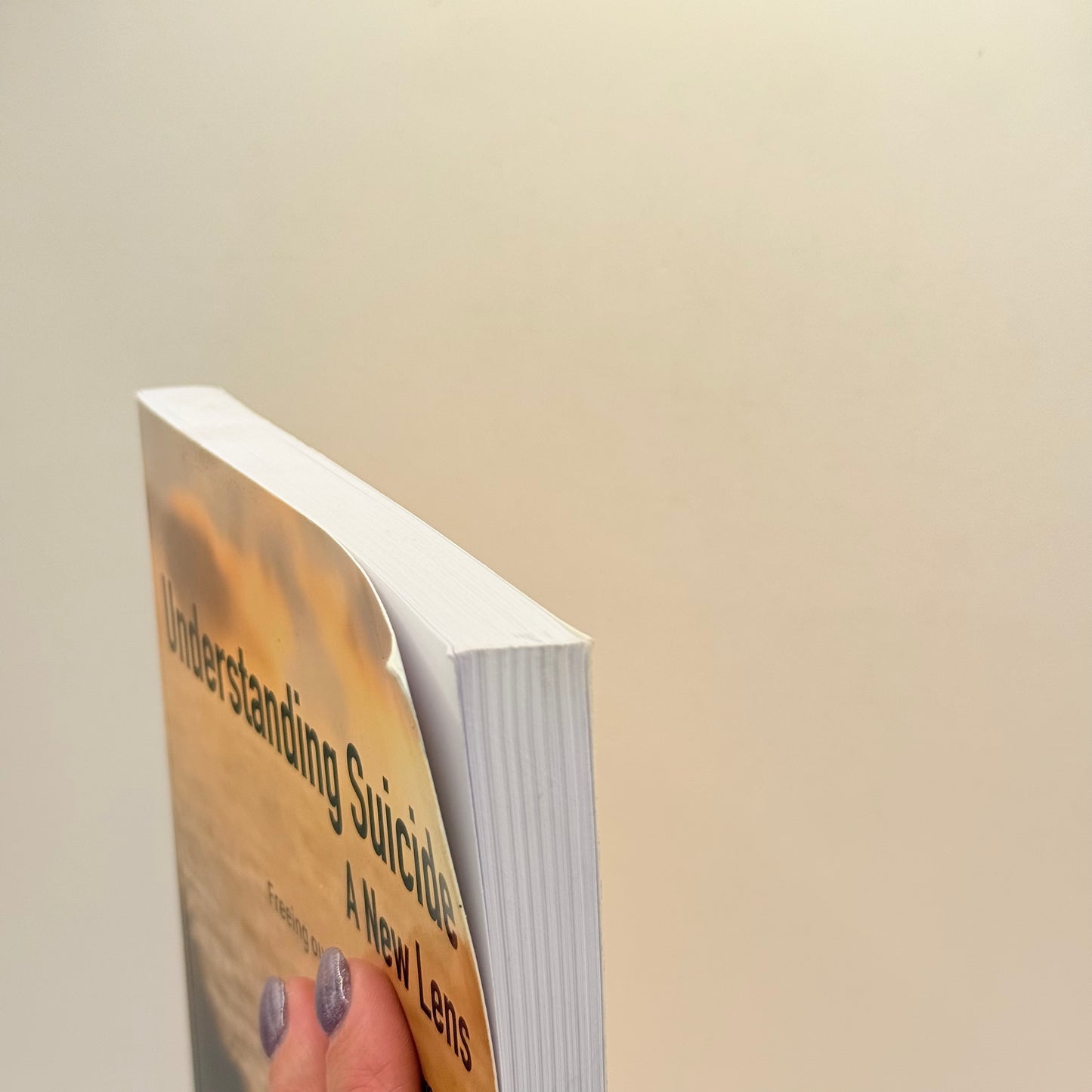 Understanding Suicide A New Lens by Brendan O’Brien