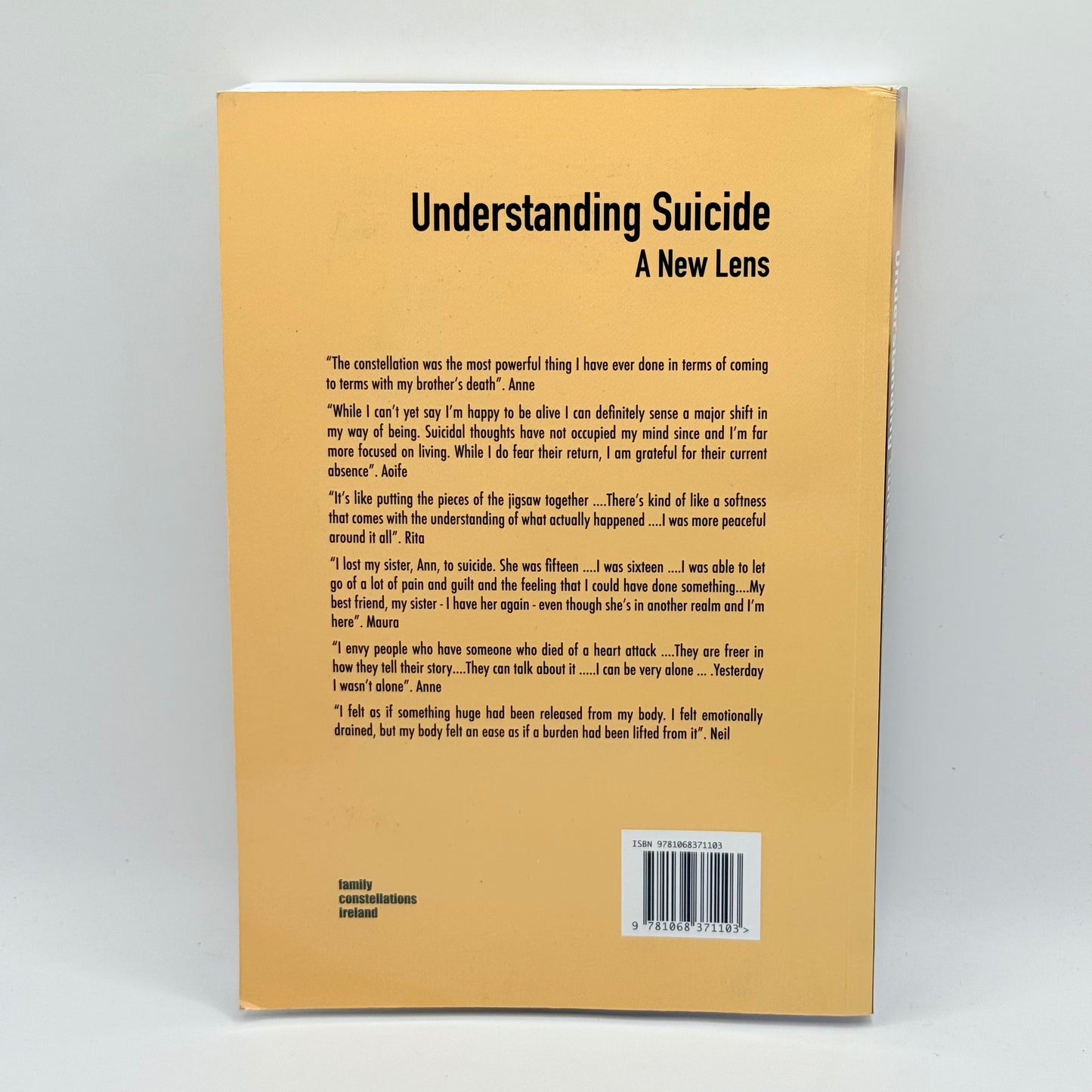 Understanding Suicide A New Lens by Brendan O’Brien