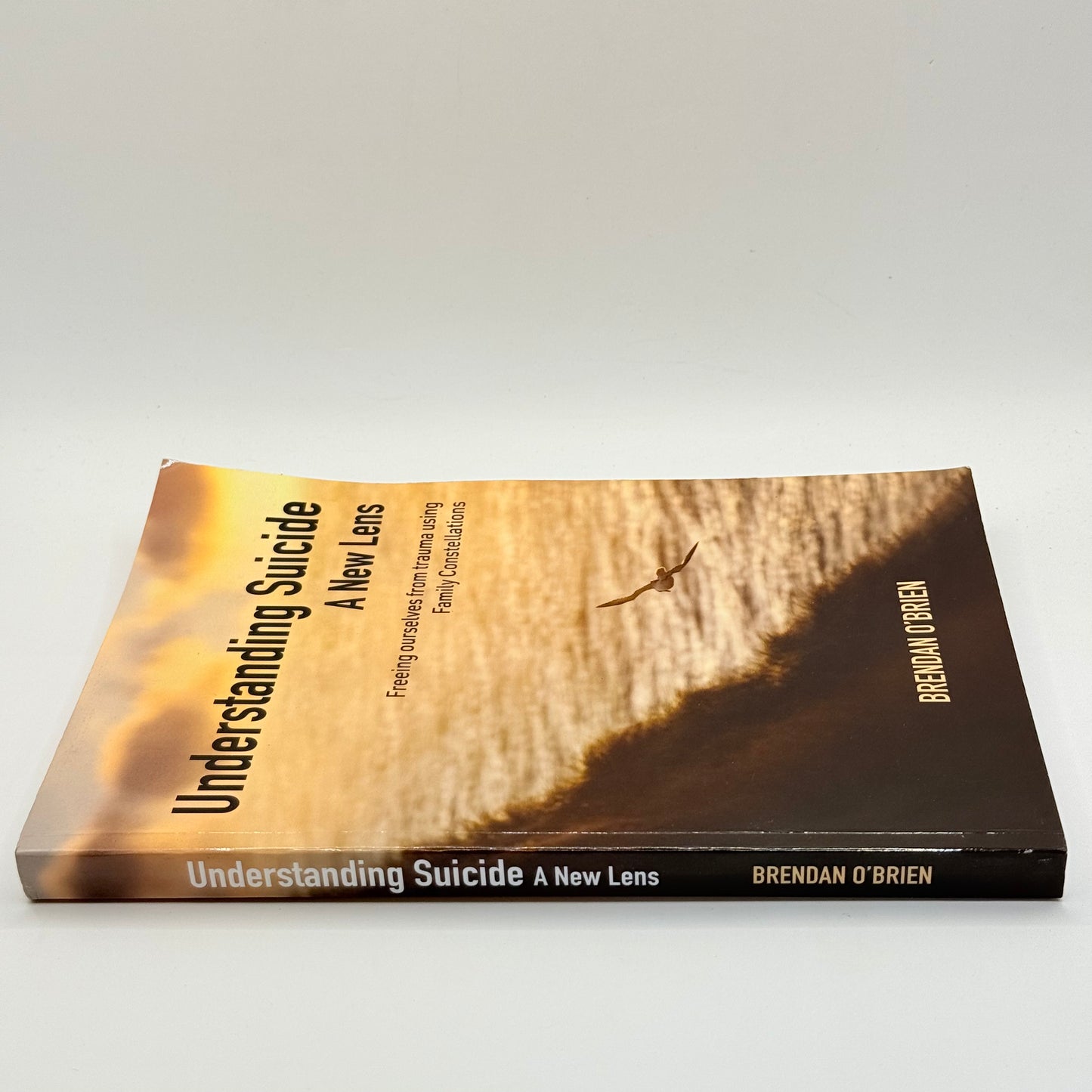 Understanding Suicide A New Lens by Brendan O’Brien