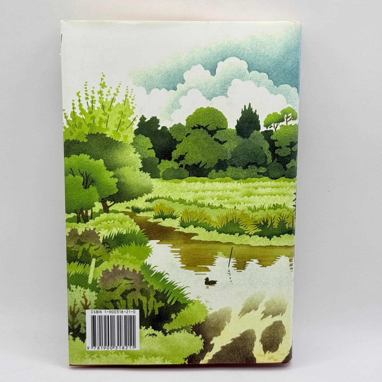 Where the Bright Waters Meet by Harry Plunket Greene