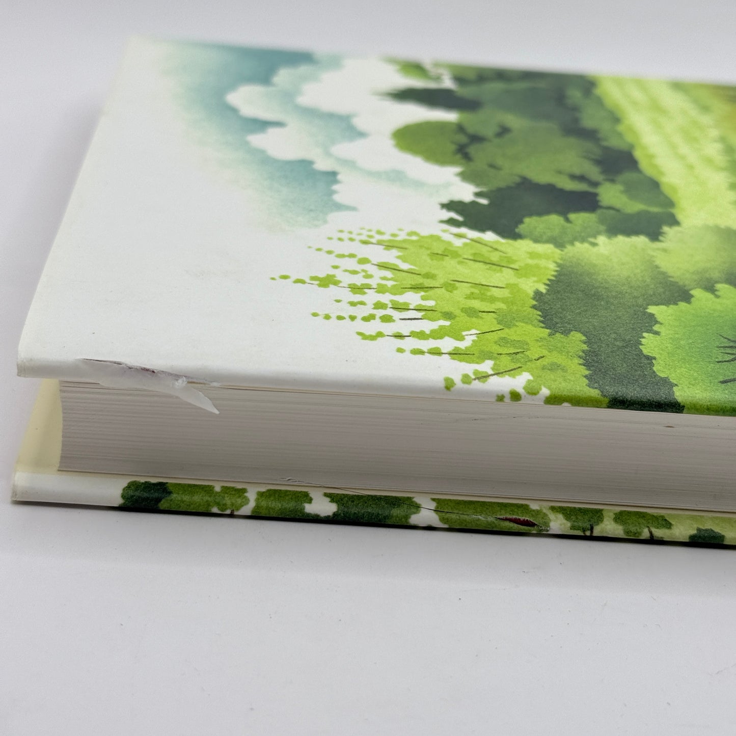 Where the Bright Waters Meet by Harry Plunket Greene