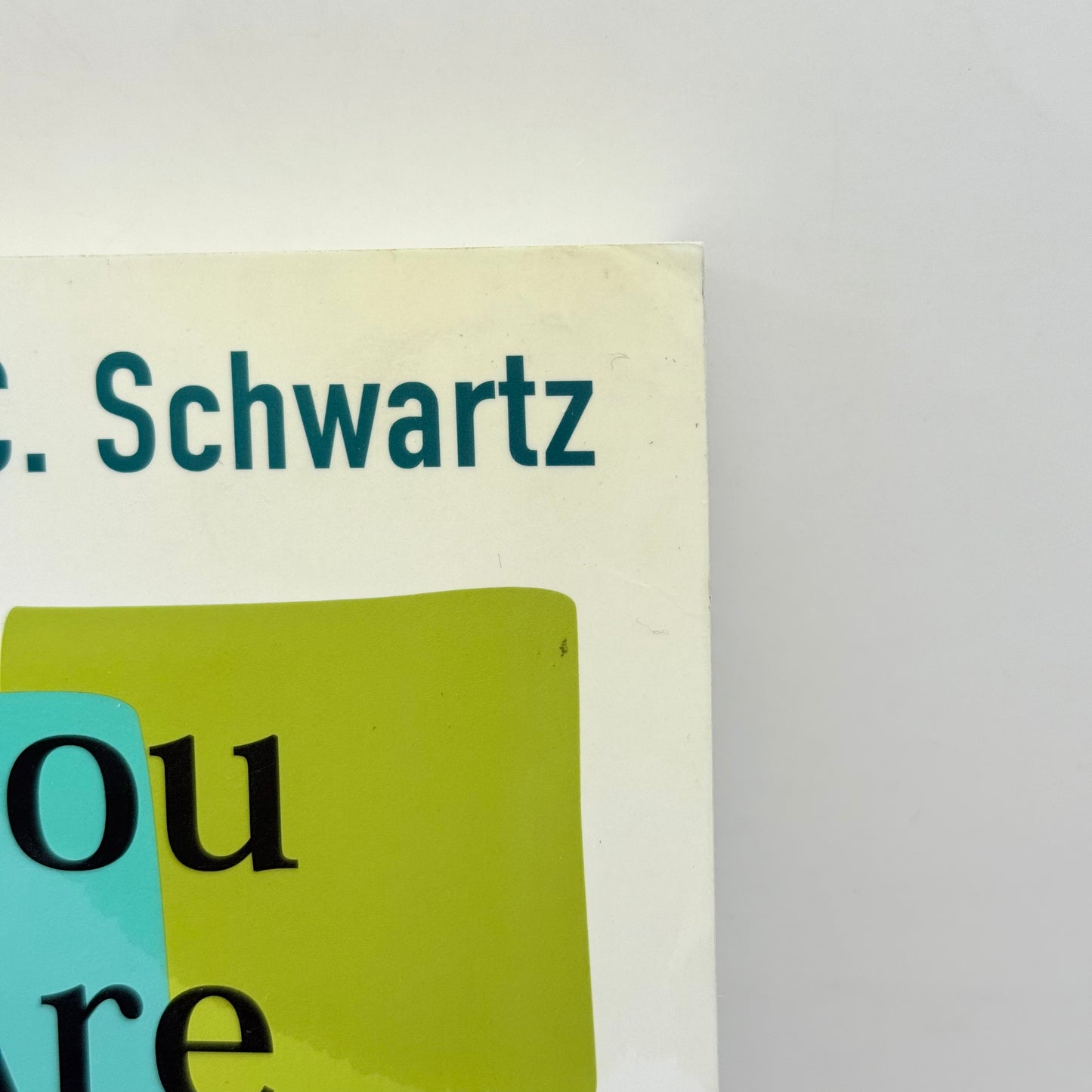 You Are the One You've Been Waiting For by Richard C. Schwartz