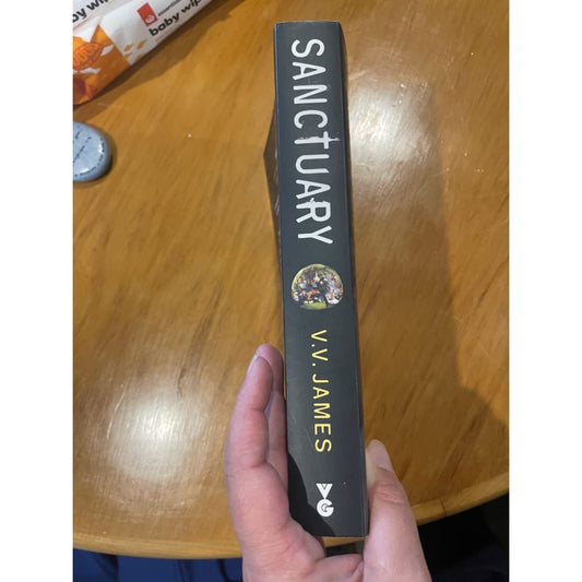 Sanctuary - v. V. James - print books book - condition: used - fantasy - fiction printed media