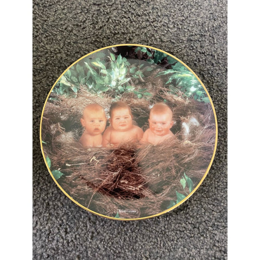 Anne geddes ’baby birds’ collector plate - 1995 limited edition - decorative plates habit product