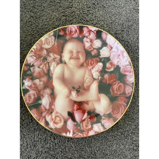 Anne geddes ’cheesecake’ collector plate - 1995 limited edition - decorative plates habit product