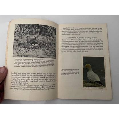 Vintage 1955 national audubon society nature program - water birds - print books book - condition: used - nature